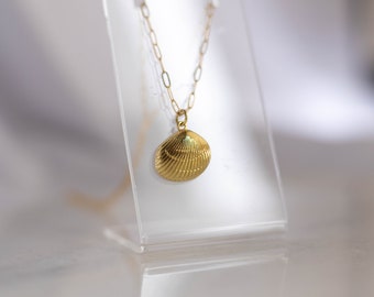 14K Gold Fill Shell Necklace