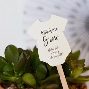 May include: A cream-colored onesie-shaped sign on a wooden stick, with the words "Watch me Grow" and the baby's name and due date. The sign is placed in a small terracotta pot with a succulent plant. A decorative paper fan is in the background.