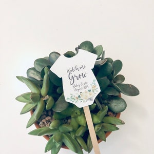 Watch Me Grow Plant Tags for Baby Shower Succulent Favor Tags on Sticks image 4