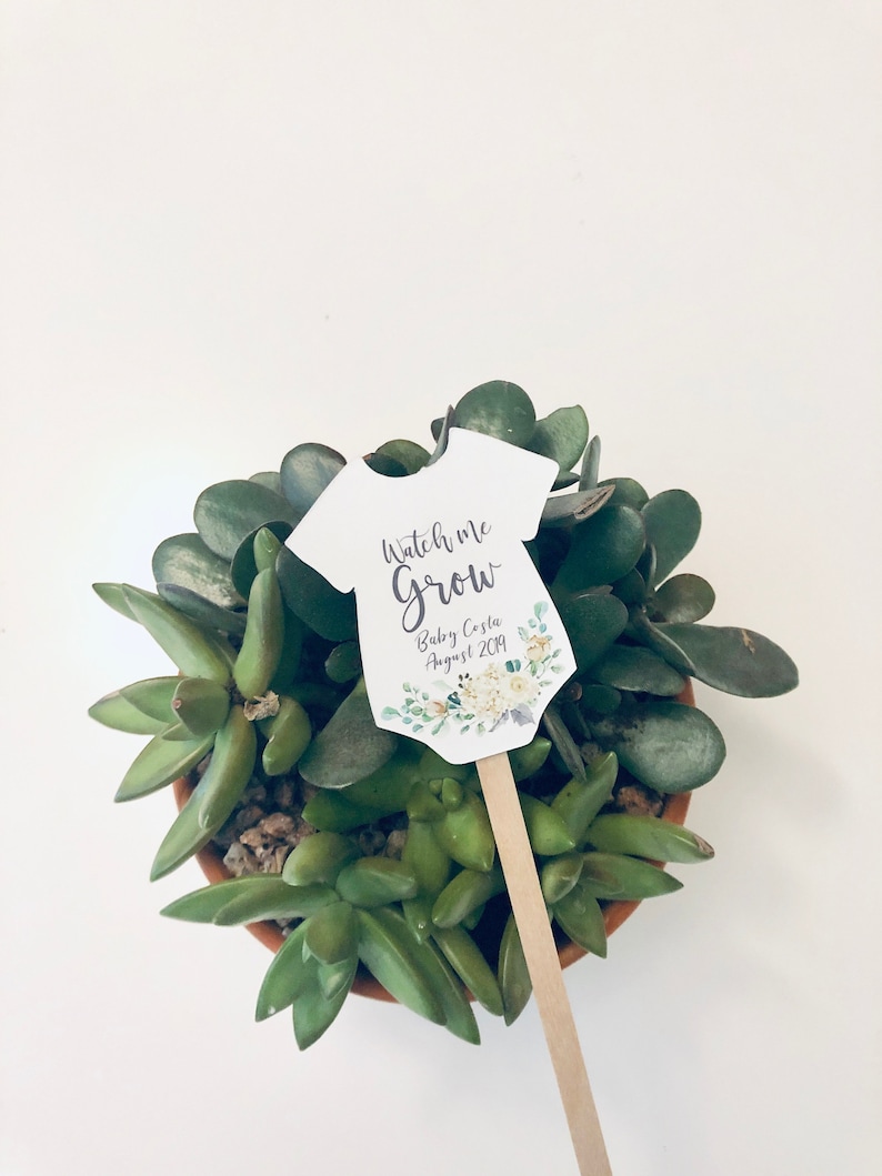 Watch Me Grow Plant Tags for Baby Shower Succulent Favor Tags on Sticks image 4