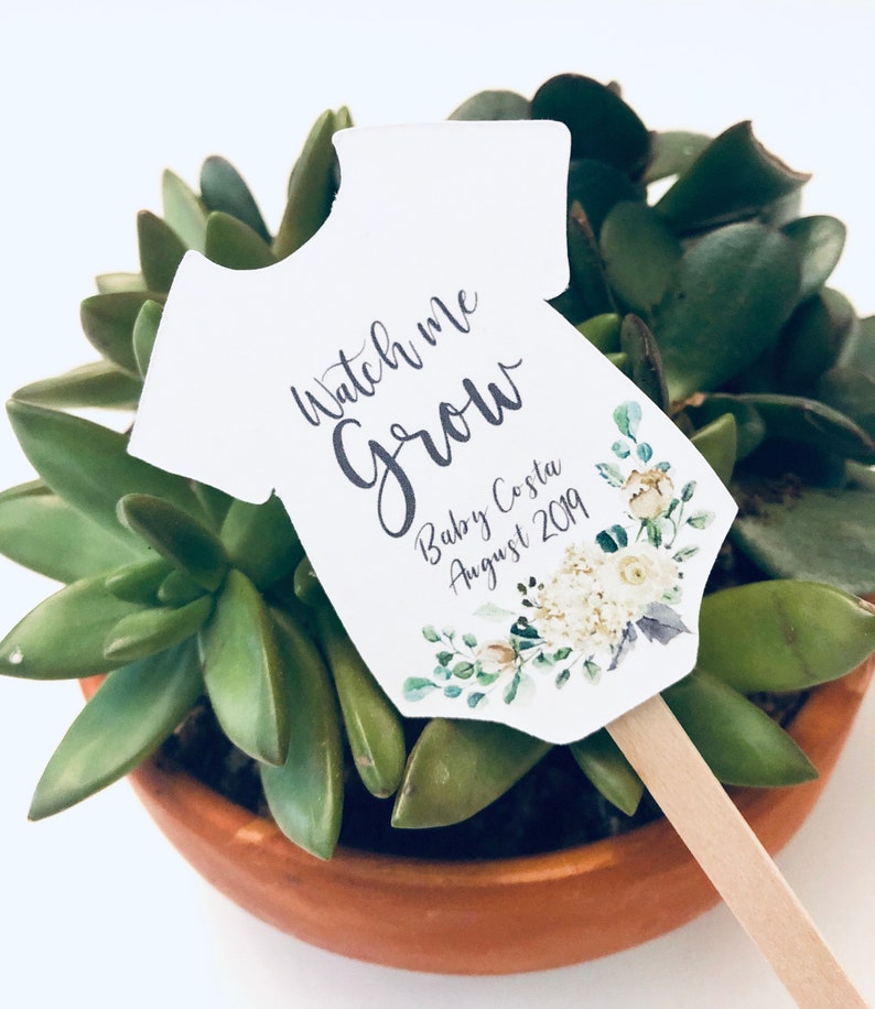 Watch Me Grow Plant Tags for Baby Shower Succulent Favor Tags on Sticks image 3