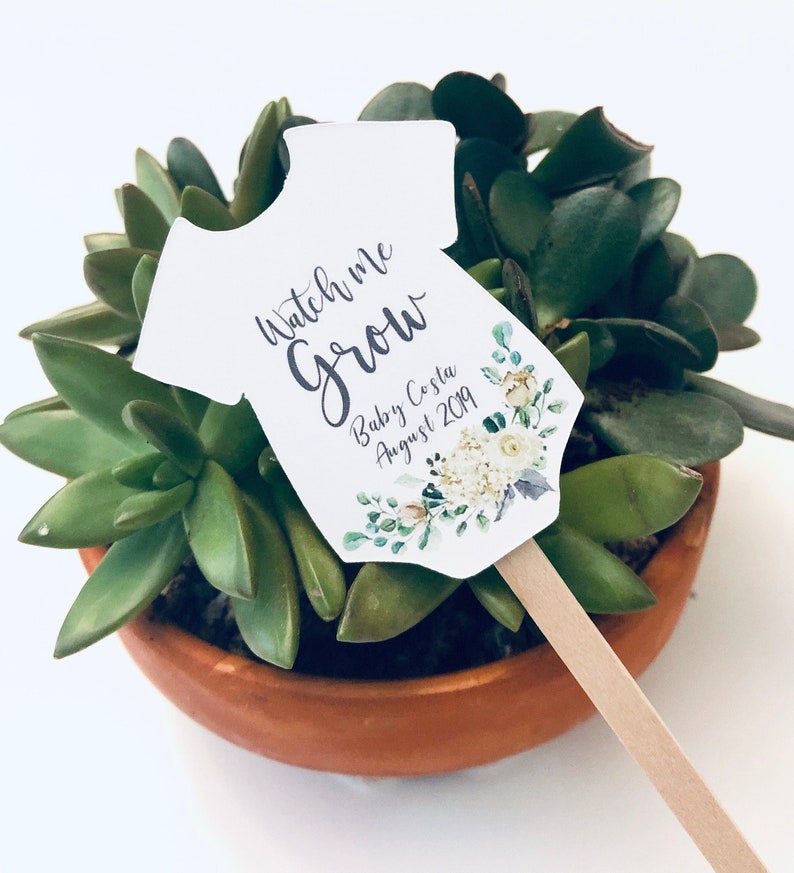 Watch Me Grow Plant Tags for Baby Shower Succulent Favor Tags on Sticks image 1