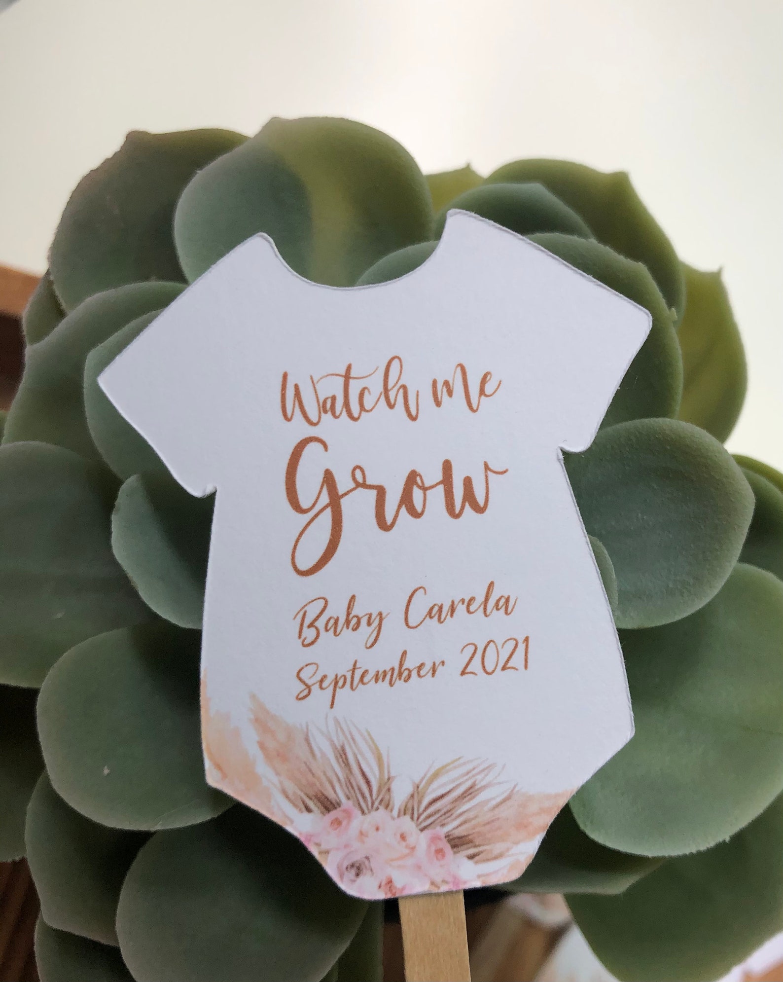Pampas Grass Baby Shower Favor Etiquetas Suculenta Favor Etsy México
