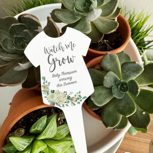 May include: A white baby vest-shaped plant marker with the text "Watch Me Grow" and "Baby Thompson arriving this Summer." The marker is decorated with floral accents and is placed among several potted succulents.
