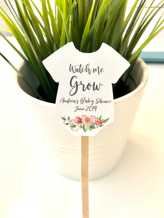 baby shower succulent tags