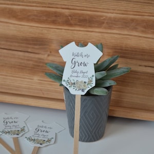 Watch Me Grow Plant Tags for Baby Shower Succulent Favor Tags on Sticks image 6