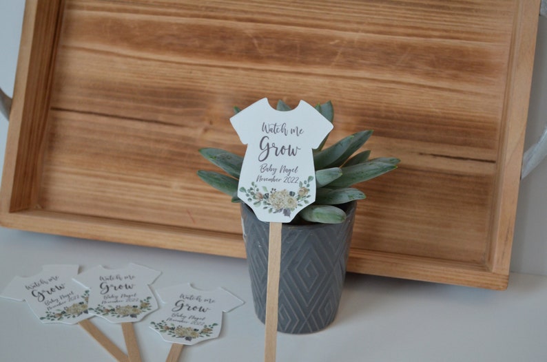 Watch Me Grow Plant Tags for Baby Shower Succulent Favor Tags on Sticks image 6