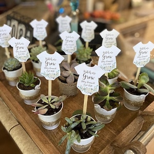 Watch Me Grow Plant Tags for Baby Shower Succulent Favor Tags on Sticks image 2