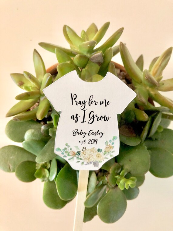 baby shower succulent tags