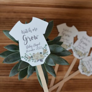 Watch Me Grow Plant Tags for Baby Shower Succulent Favor Tags on Sticks image 5