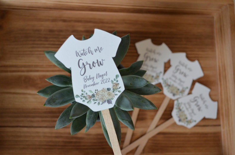 Watch Me Grow Plant Tags for Baby Shower Succulent Favor Tags on Sticks image 5