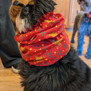 Gingerbread Snood, King Charles Cavalier Snood, Cocker Snood, Spaniel Snood, Cotton Dog Snood, Snood for ears, Dog ear protection