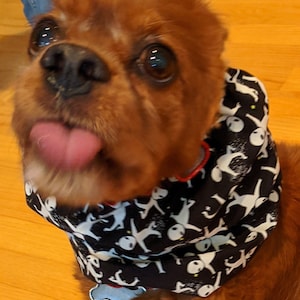 Alien- Dog Snood, King Charles Cavalier Snood, Cocker Snood, Spaniel Snood, Cotton Snood, Snood for ears, Dog ear protection