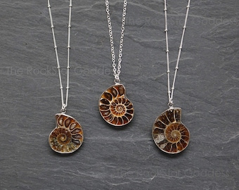 Ammonite Fossil Necklace , Ammonite Necklace, Silver Ammonite Necklace, Genuine Ammonite, Ammonite Pendant, OOAK Necklace, OOAK Pendant