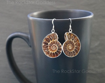 Genuine Ammonite Fossil Earrings, Polished Silver Dangle Jewelry, Gift for Her