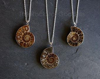 Ammonite Fossil Necklace, Mens Ammonite Necklace, Mens Necklace, Men's Necklace, Men's Jewelry, Genuine Ammonite Necklace, Gift for Him