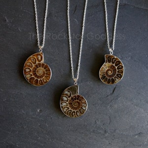 Ammonite Fossil Necklace, Mens Ammonite Necklace, Mens Necklace, Men's Necklace, Men's Jewelry, Genuine Ammonite Necklace, Gift for Him image 1