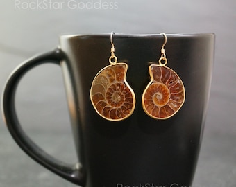 May include: A pair of gold earrings with brown ammonite fossil accents. The earrings are hanging from a black mug.