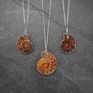 Ammonite Fossil Necklace , Ammonite Necklace, Silver Ammonite Necklace, Genuine Ammonite, Ammonite Pendant, OOAK Necklace, OOAK Pendant