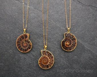 Gold Ammonite Fossil, Ammonite Necklace, Gold Ammonite Necklace, Gold Ammonite Pendant, Select Chain, OOAK Necklace, OOAK Pendant