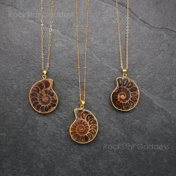 Gold Ammonite Fossil, Ammonite Necklace, Gold Ammonite Necklace, Gold Ammonite Pendant, Select Chain, OOAK Necklace, OOAK Pendant