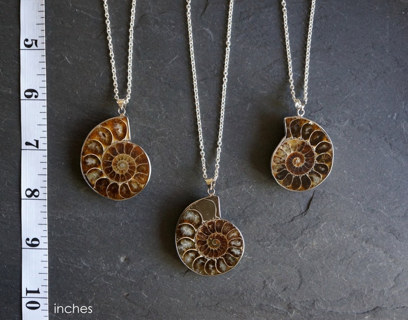 Ammonite Fossil Necklace, Mens Ammonite Necklace, Mens Necklace, Men's Necklace, Men's Jewelry, Genuine Ammonite Necklace, Gift for Him image 2