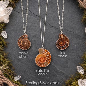 May include: Three necklaces featuring brown spiral ammonite fossil pendants on sterling silver chains. The labels identify the styles as cable chain, satellite chain, and link chain. The text Sterling Silver chains is printed at the bottom.