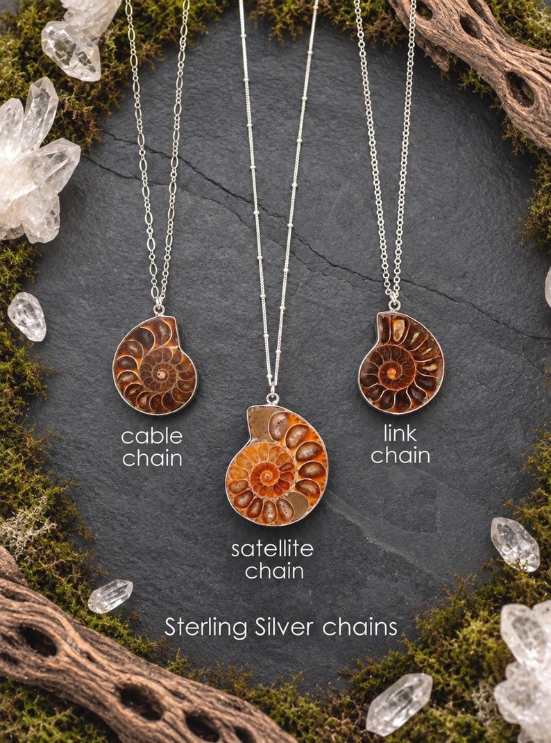 May include: Three necklaces featuring brown spiral ammonite fossil pendants on sterling silver chains. The labels identify the styles as cable chain, satellite chain, and link chain. The text Sterling Silver chains is printed at the bottom.