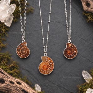 May include: Three silver necklaces featuring brown, spiral-shaped ammonite fossil pendants. Each pendant is encased in a silver setting and hangs from a delicate silver chain. The text RockStar Goddess is visible near the pendants.