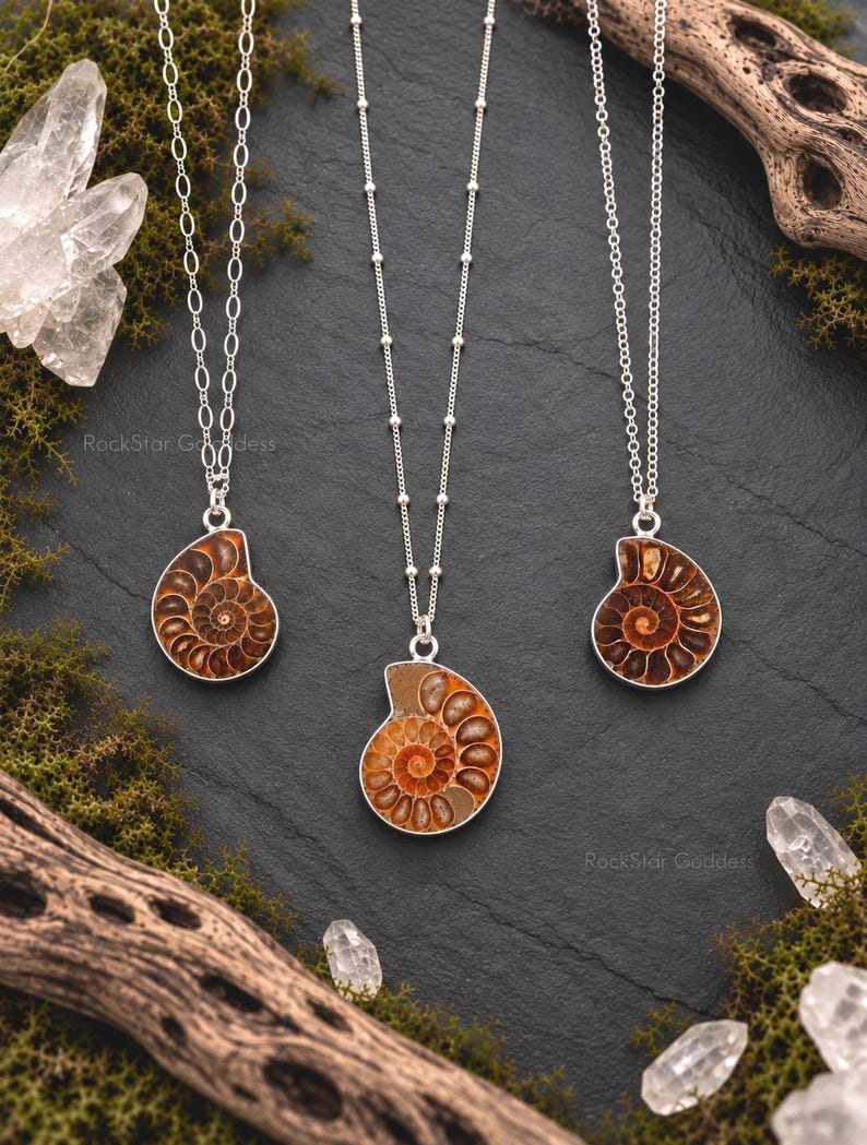 May include: Three silver necklaces featuring brown, spiral-shaped ammonite fossil pendants. Each pendant is encased in a silver setting and hangs from a delicate silver chain. The text RockStar Goddess is visible near the pendants.