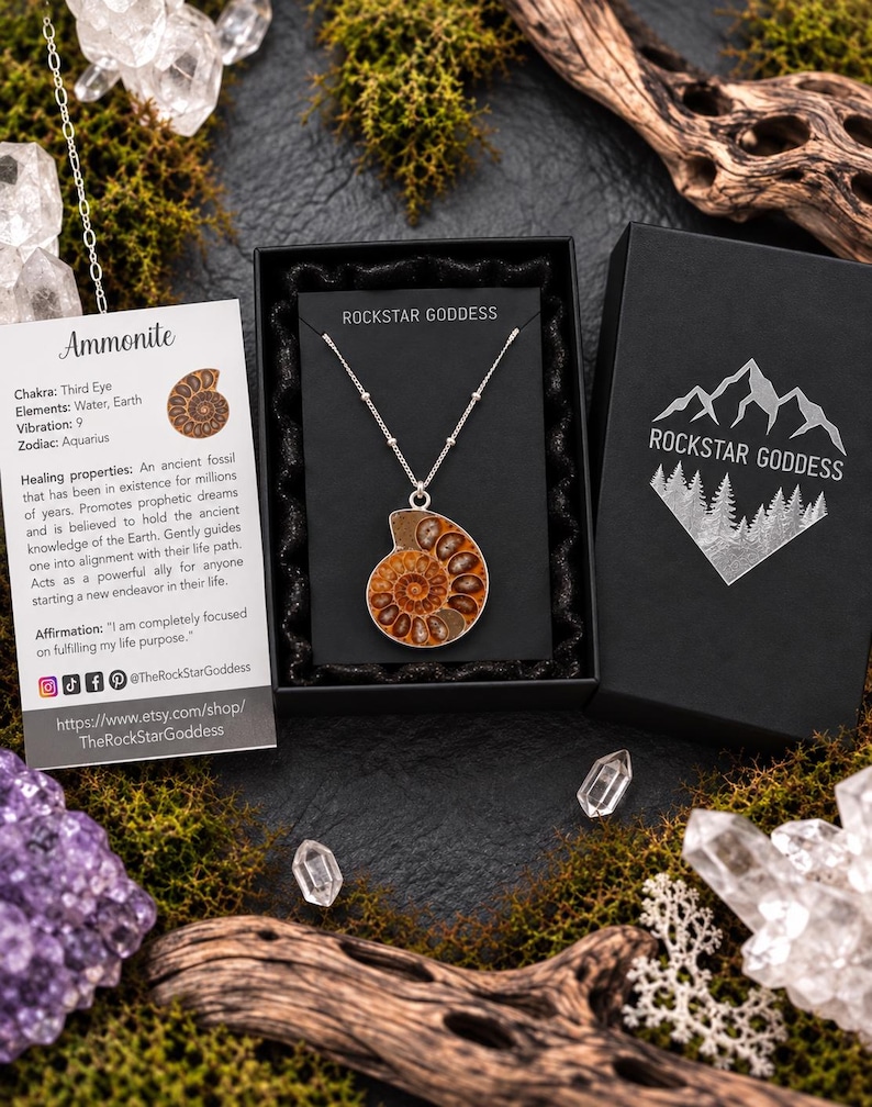 May include: A silver chain necklace featuring a spiral ammonite fossil pendant with brown and tan tones. The necklace is presented in a black box labeled ROCKSTAR GODDESS, accompanied by an informational card detailing the ammonite fossil.
