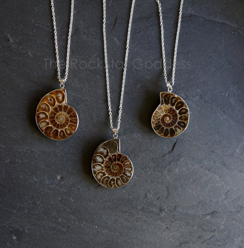 Ammonite Fossil Necklace, Mens Ammonite Necklace, Mens Necklace, Men's Necklace, Men's Jewelry, Genuine Ammonite Necklace, Gift for Him image 1