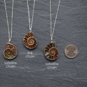 Puede incluir: Tres collares de plata con colgantes de f&oacute;siles de amonites marrones y dorados. Los collares presentan diferentes estilos de cadena: cadena de sat&eacute;lite, cadena de eslabones y cadena de sat&eacute;lite.