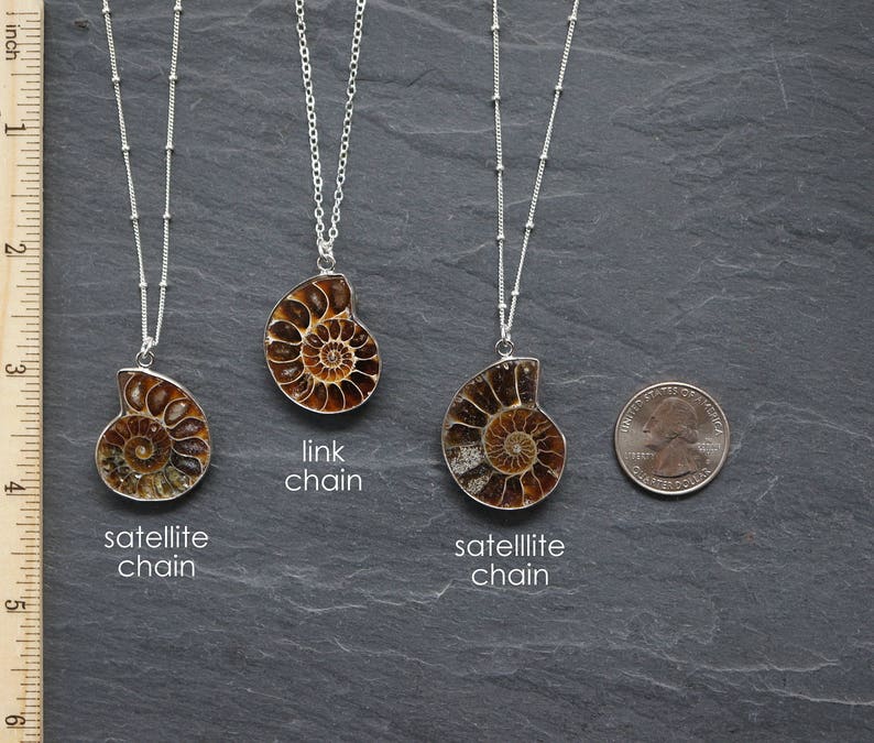 Puede incluir: Tres collares de plata con colgantes de f&oacute;siles de amonites marrones y dorados. Los collares presentan diferentes estilos de cadena: cadena de sat&eacute;lite, cadena de eslabones y cadena de sat&eacute;lite.