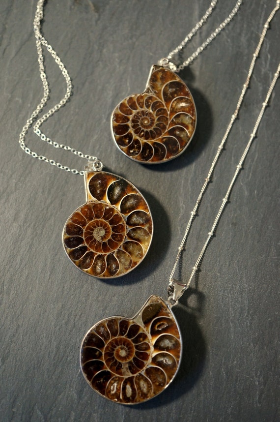ammonite necklace pendant