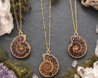 Gold Ammonite Fossil, Ammonite Necklace, Gold Ammonite Necklace, Gold Ammonite Pendant, Select Chain, OOAK Necklace, OOAK Pendant