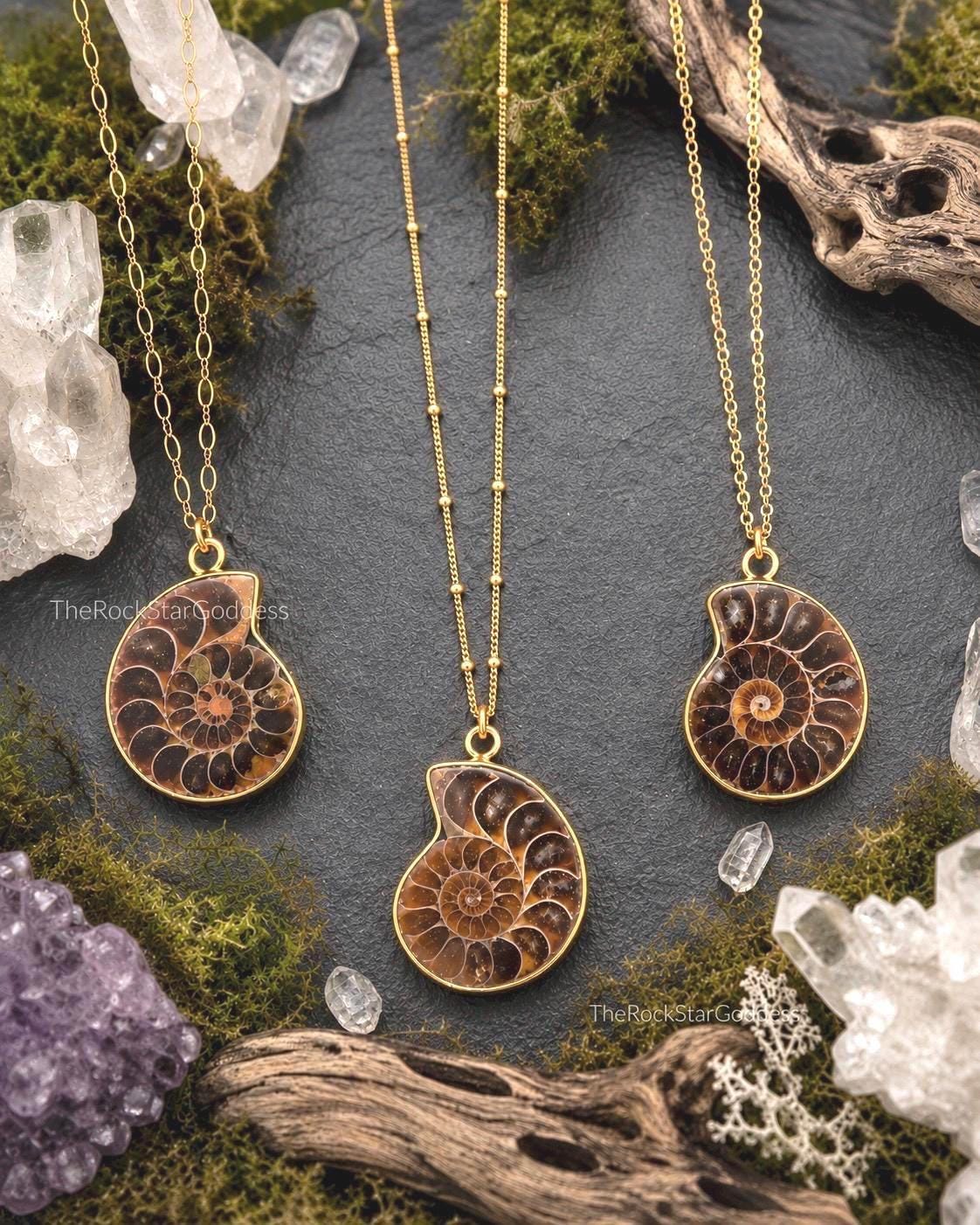 Ammonite Necklace - Etsy