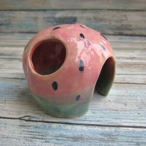 May include: A pink and green ceramic hide with black spots, shaped like a watermelon, with a large opening for small animals to enter.