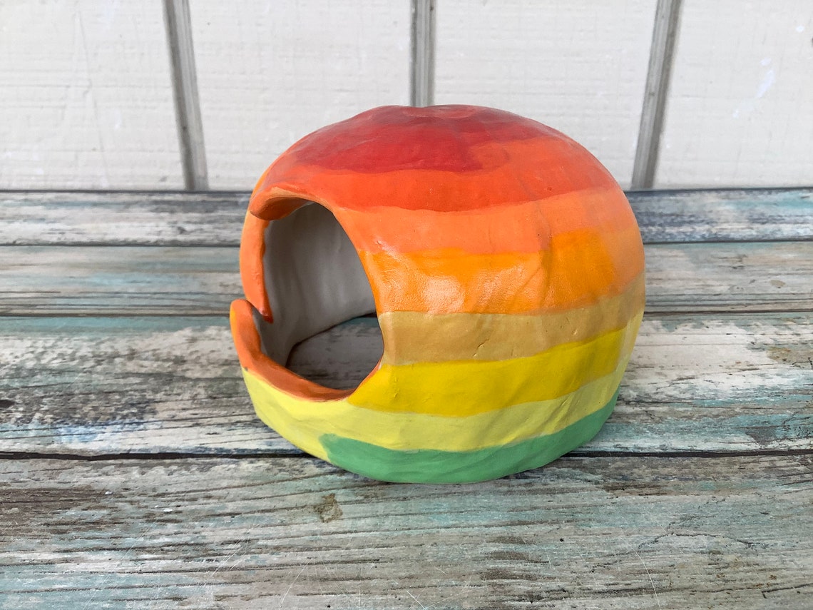 Betta Fish Cave Ceramic Rainbow Fish Hide Small Aquarium Etsy