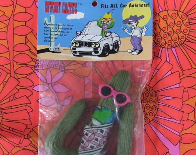 Cowboy Cactus Antenna Cover Wild West Cactus Antenna Topper Purple Hat Pink Sunglasses RSV