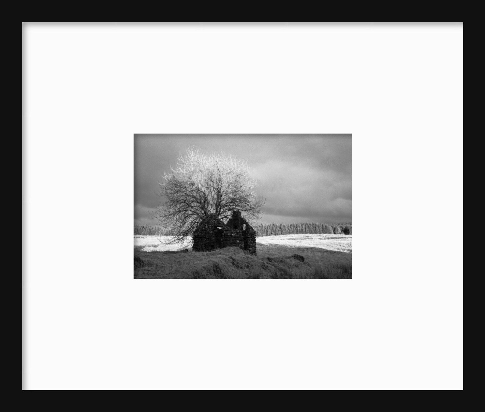 Ireland Photography Abandoned Cottage Print Black and Etsy