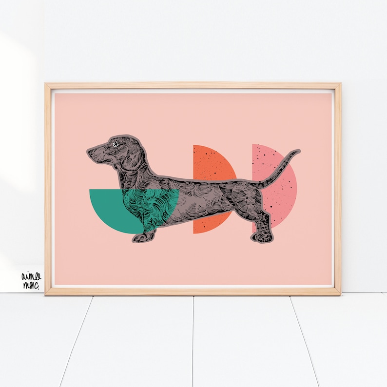 May include: A black and white illustration of a dachshund dog standing on a pink background with green and orange semi-circles behind it.