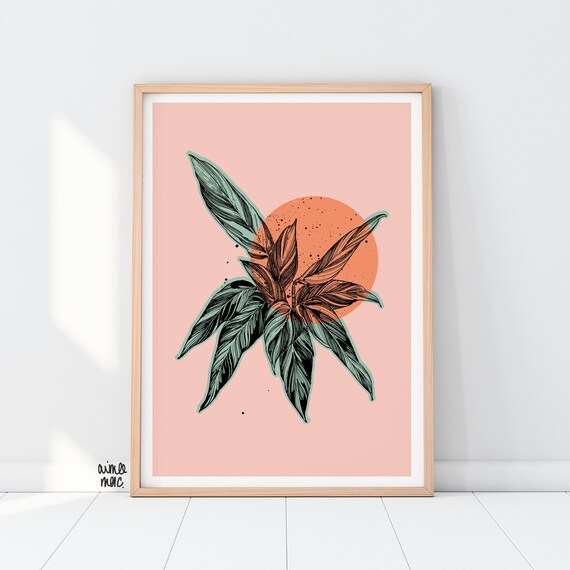 Colour Block Calathea Print - A4/A3 - Pink Green Orange Wall Art - Botanical Print - Calathea Triostar - House Plants