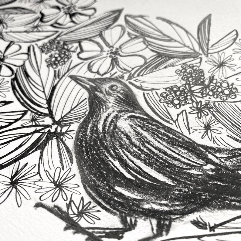 Blackbird Hedgerow ORIGINAL Pen & Ink Drawing Illustration British Bird Art, Songbird Art, British Wildlife Art image 4