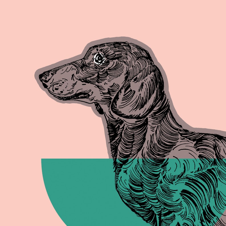 May include: A black and white line drawing of a dachshund dog with a teal green background.