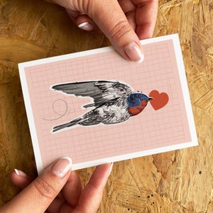 A sweet and versatile card design featuring a flying Swallow bird with a blue head and red cheeks. The bird is carrying a red love heart in its beak. The background of the card is light pink.