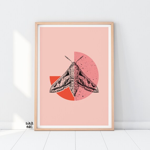 Colour Block Hawk Moth Print - A4/A3 - Pink Orange Wall Art - Moth Drawing