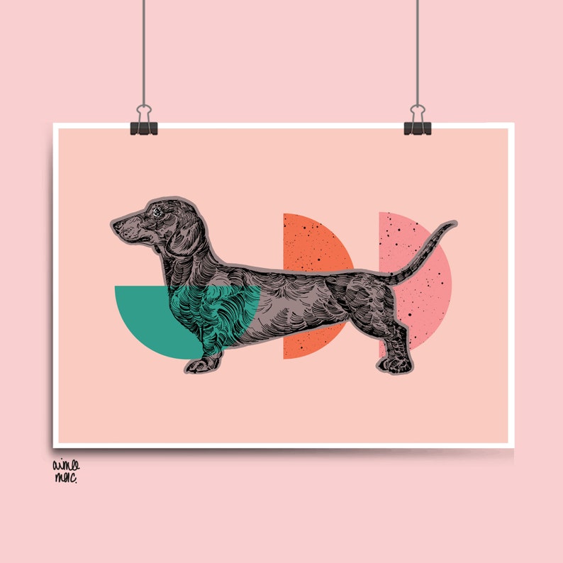 May include: A black and white illustration of a dachshund dog with a teal, pink, and orange geometric background. The dog is standing on a pink background.
