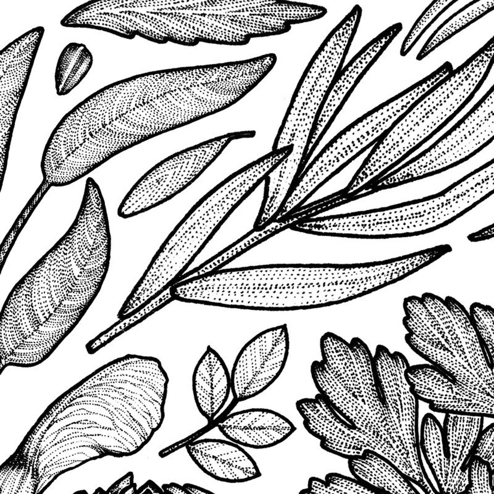 Botanischer Wandbehang aus Biobaumwolle Boho | Etsy