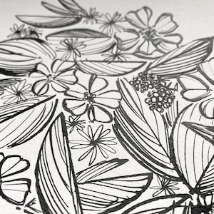 Blackbird Hedgerow ORIGINAL Pen & Ink Drawing Illustration British Bird Art, Songbird Art, British Wildlife Art image 2